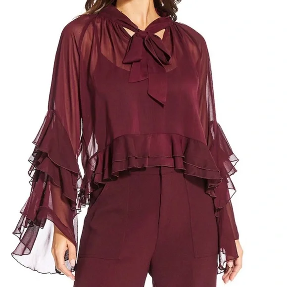 Lucy Paris Burgundy Kyle V-Neck Long Sleeve Chiffon Ruffle Top - Picture 4 of 6